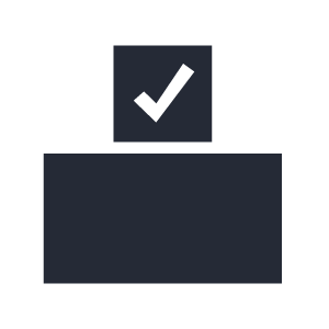 Icon: ballot box