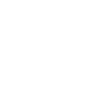 Icon: Bridge